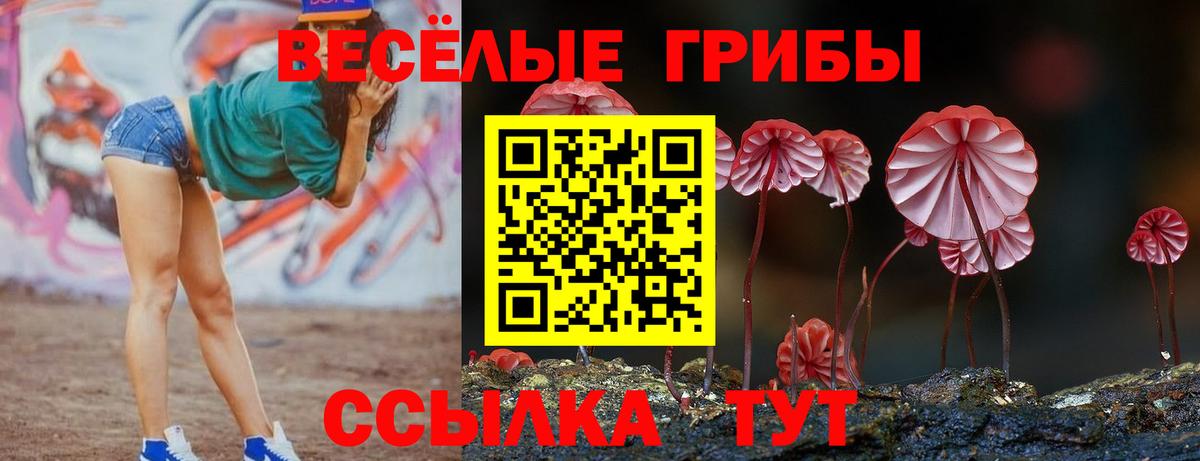 Галлюциногенные грибы Psilocybe Хабаровск