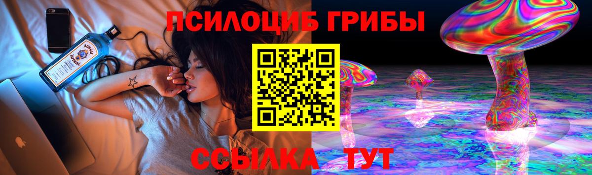 Хабаровск  Галлюциногенные грибы MAGIC MUSHROOMS  Вход с VPN 